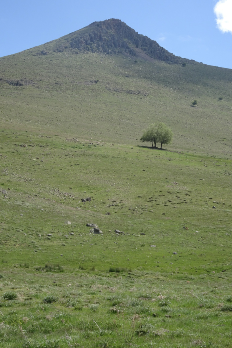 Ovacık Yaylası’ndan Karacadağ’ın en yüksek zirvesinin görünümü.