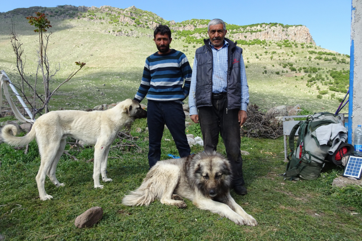Tahir ve Oğuz İnanlı.