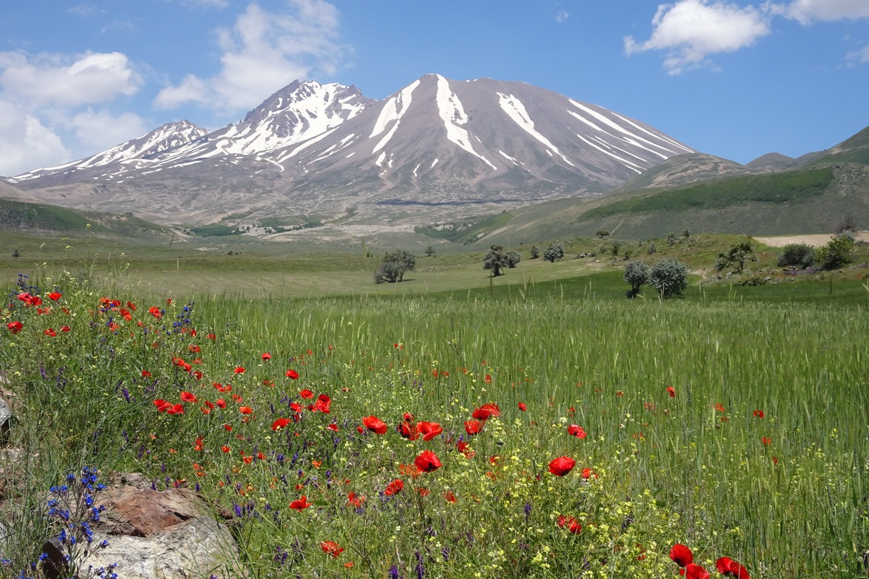 Erciyes Dağı’na elveda