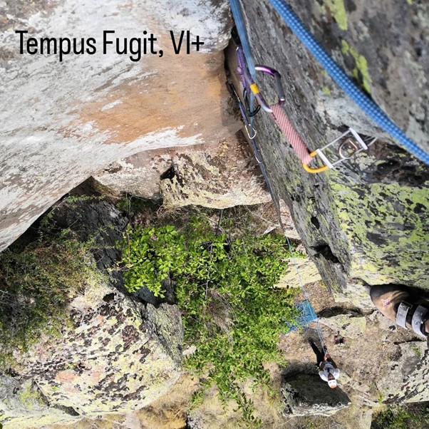 Tempus Fugit nefis köşe