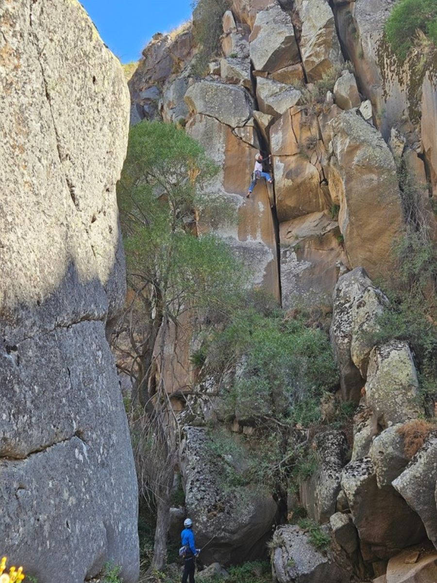 Ipsa Facto orgazmik!