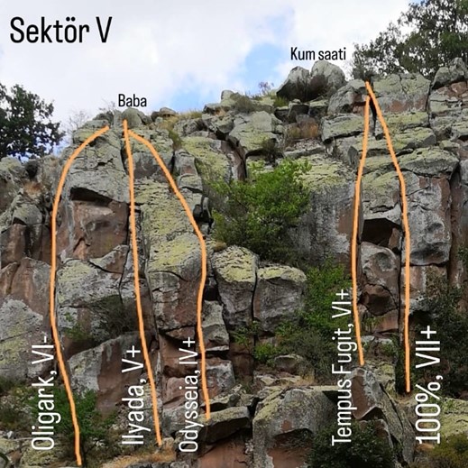 Sektör V orta bölüm