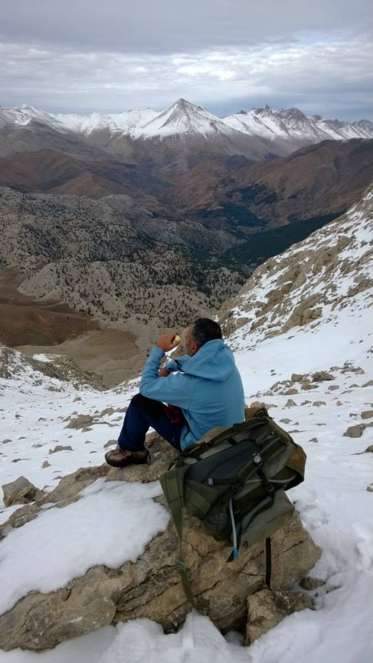 Vedat Vural