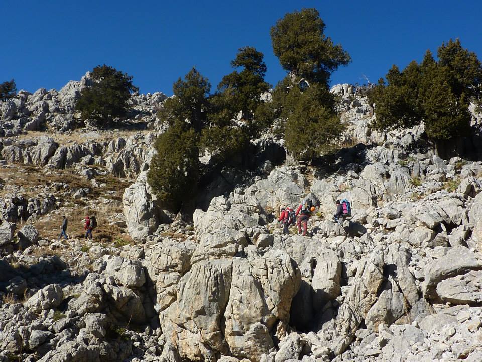 Yaklaşım