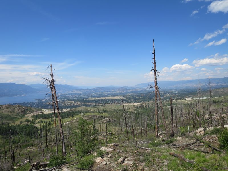 Uzakta Kelowna şehri