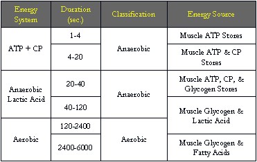 Enerji Sistemlerine Genel Bir Bakış
