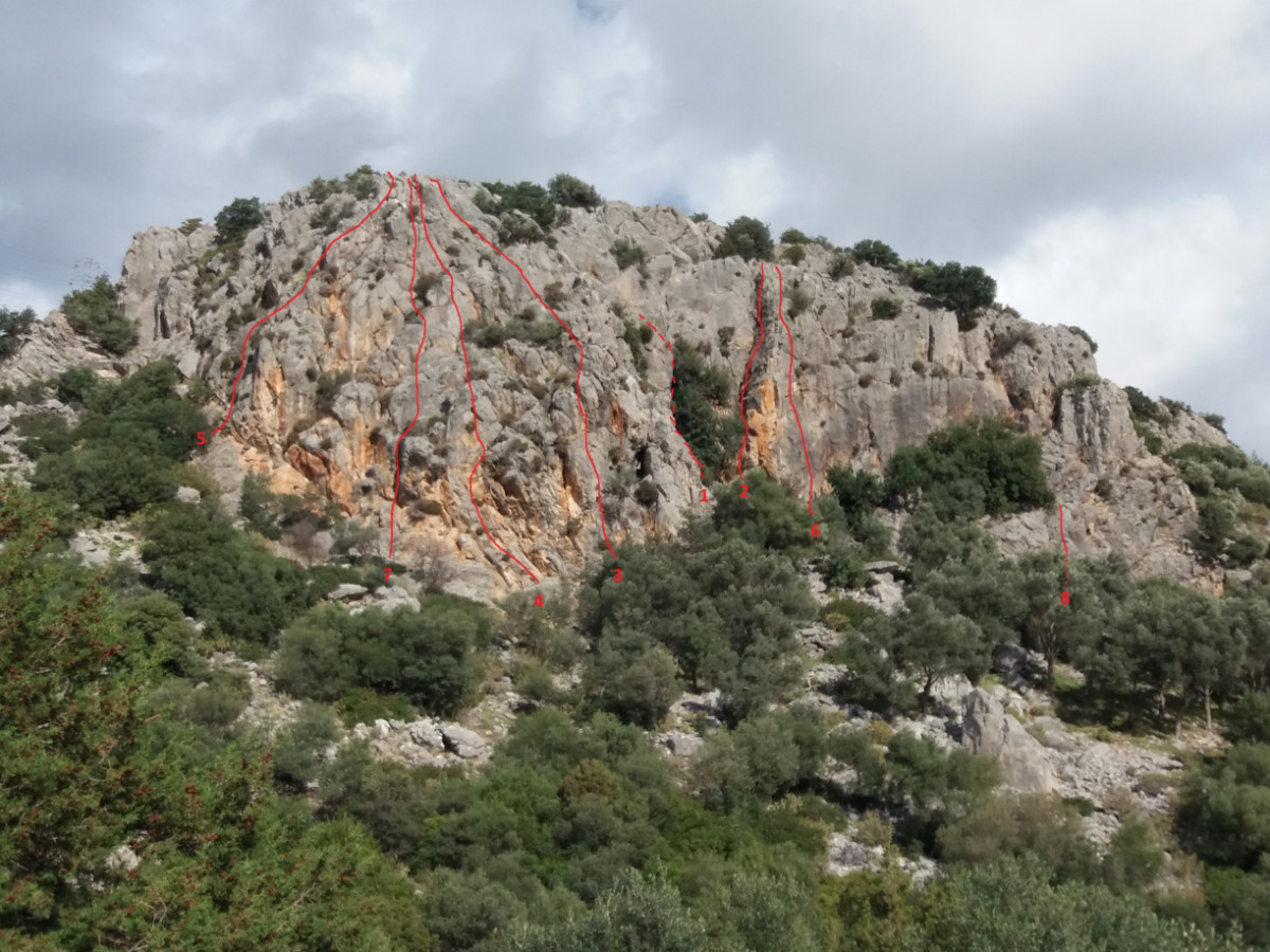 Rotalar