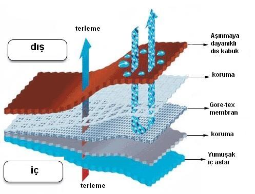 Foto:en.wikipedia.org